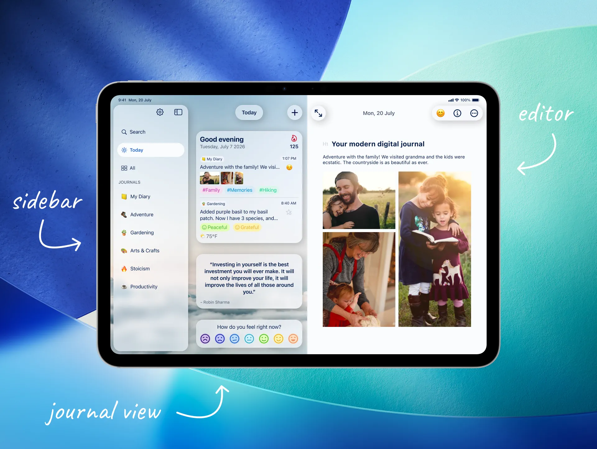 Diarly interface on iPad