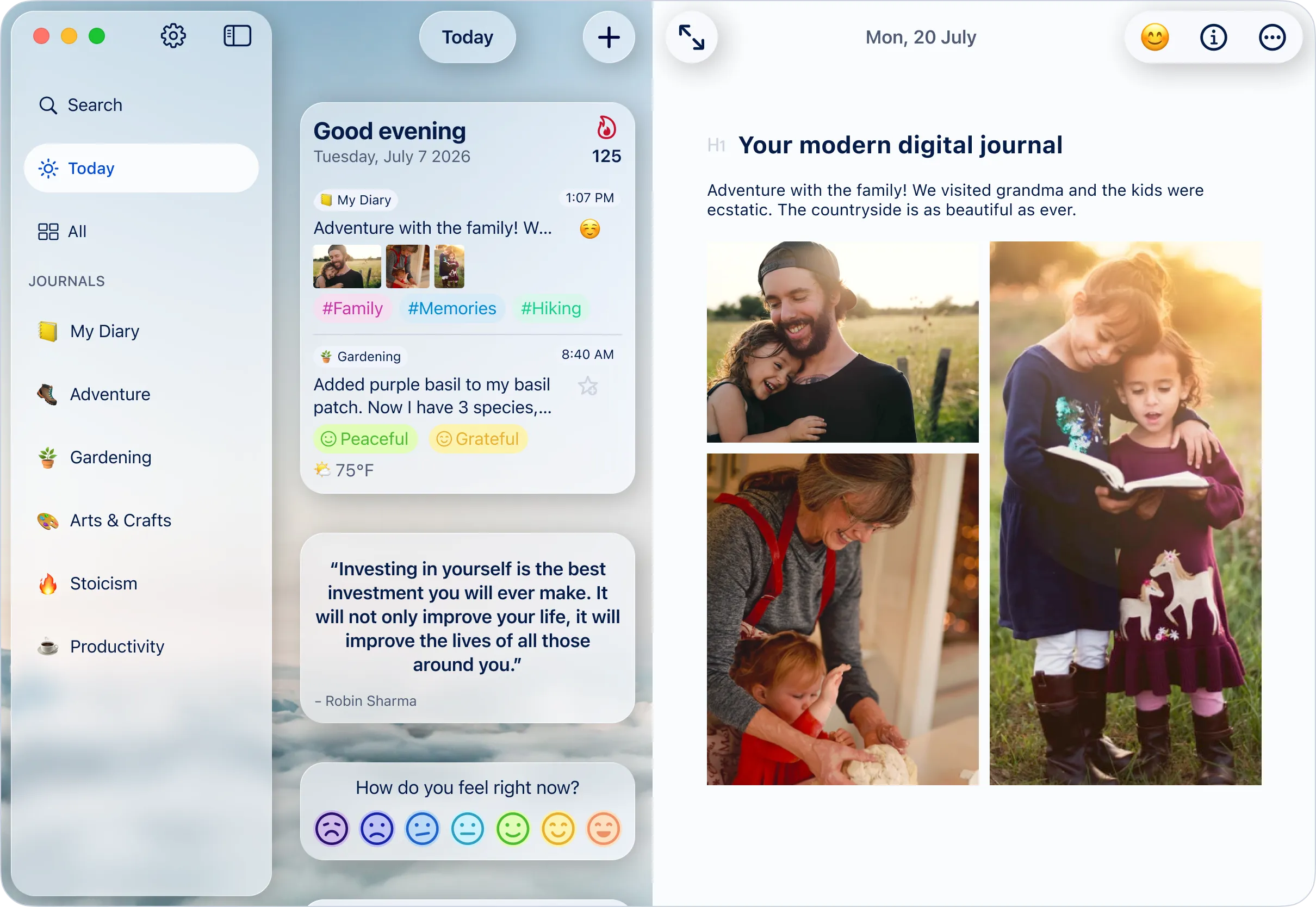 Diarly Interface on Mac