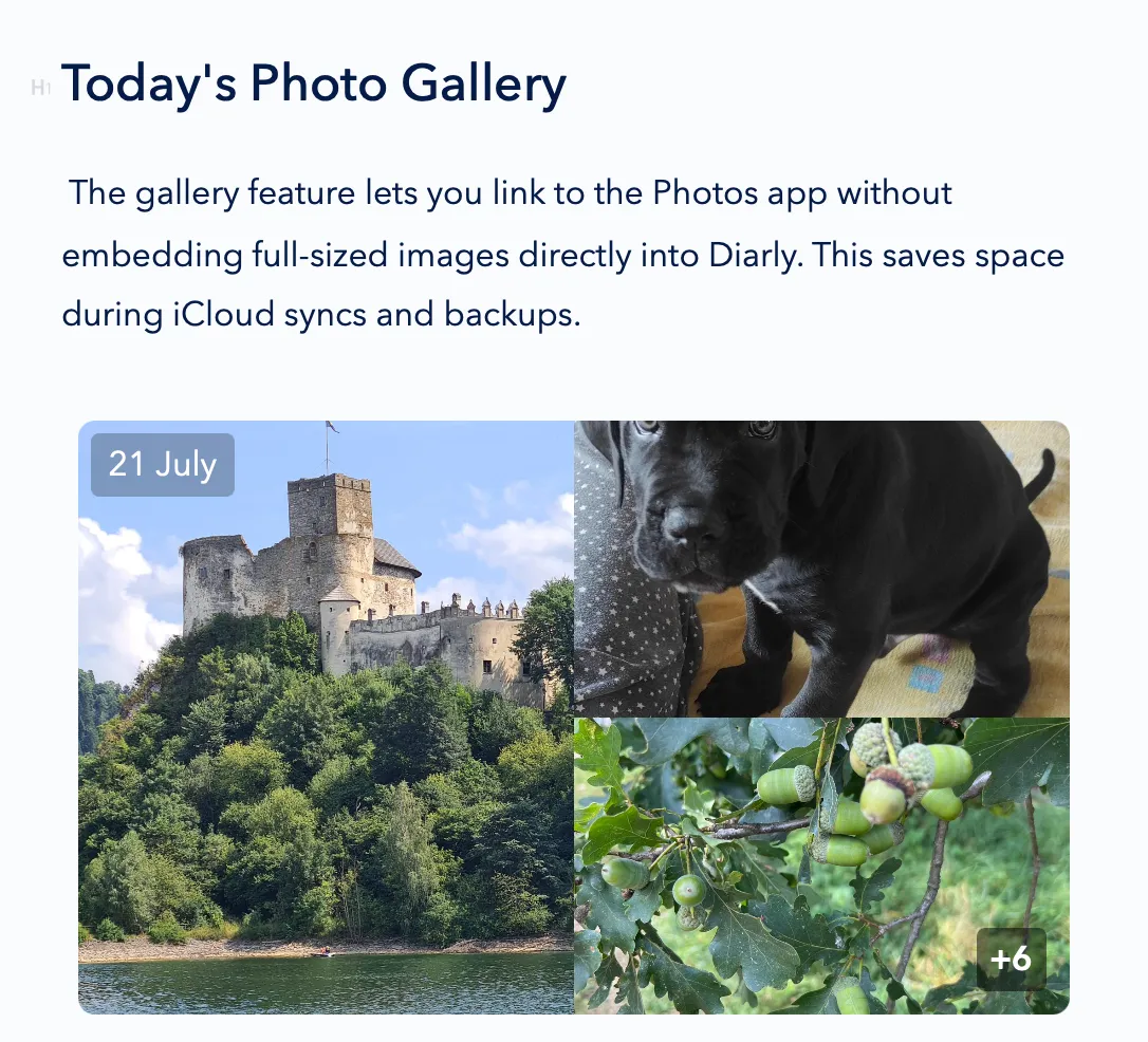 Today's photo gallery