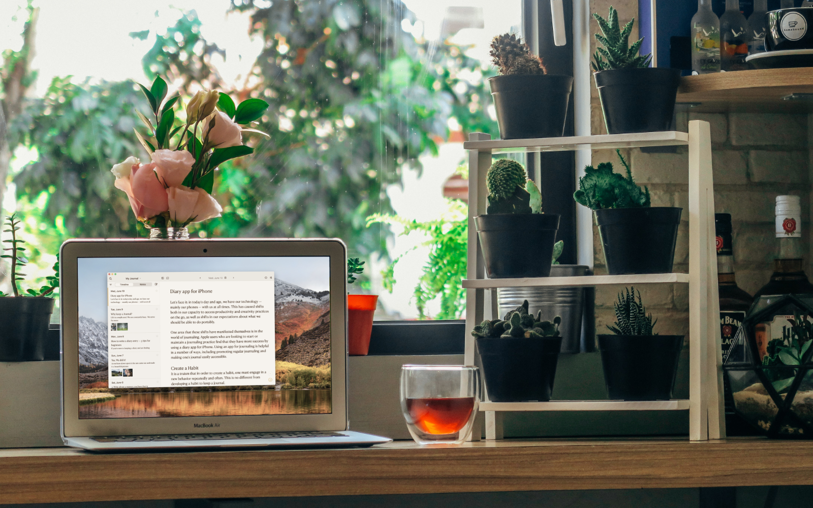 Computer showing Diarly app next to window and tea