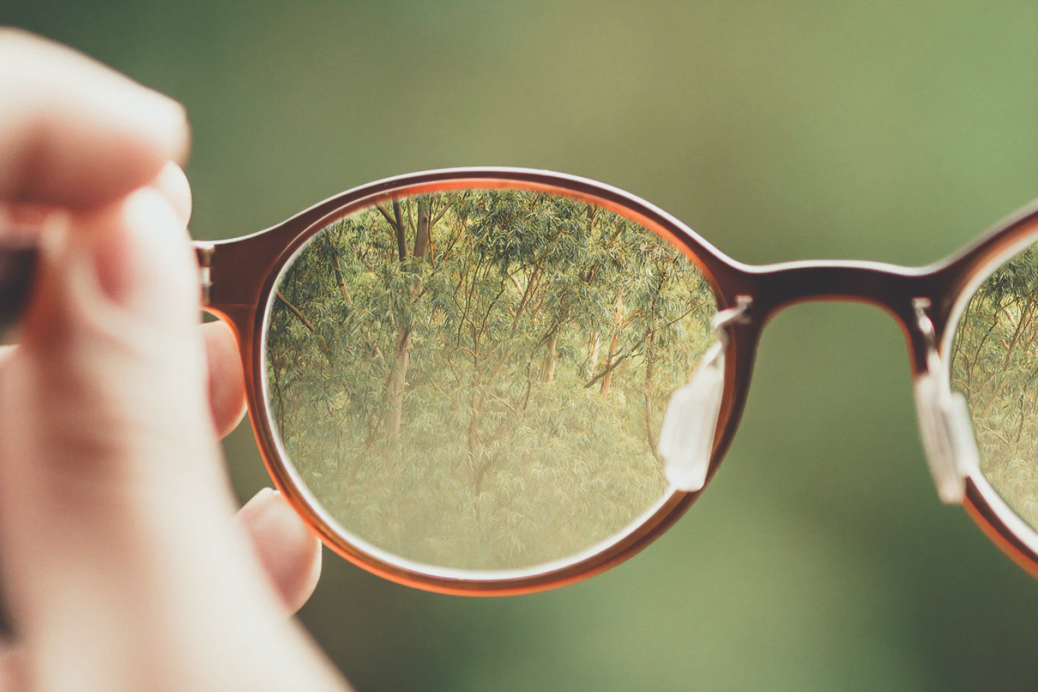 person holding brown eyeglasses with green trees background