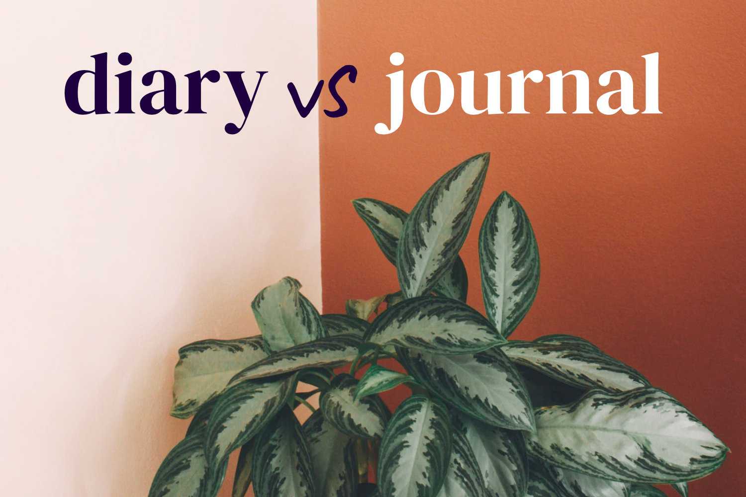 Diary vs. Journal: Which Is Right for You?