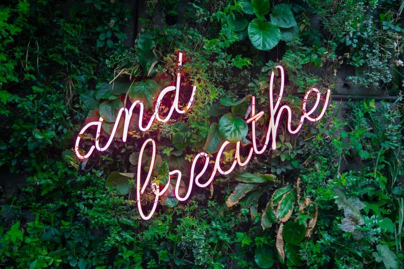 Wall of plants with the words "and breathe"