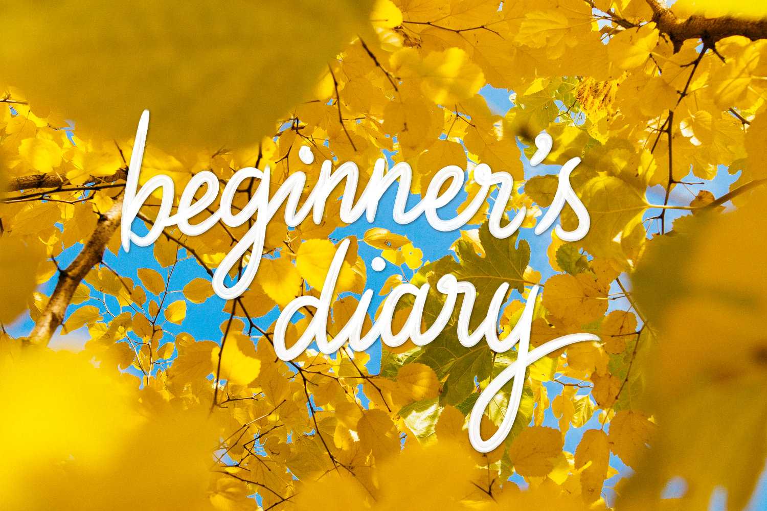 How to write a diary entry — 5 tips for beginners